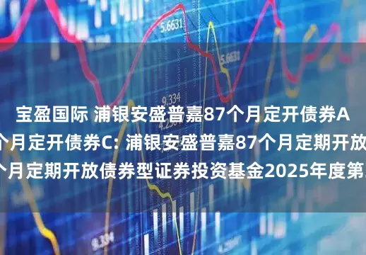 宝盈国际 浦银安盛普嘉87个月定开债券A,浦银安盛普嘉87个月定开债券C: 浦银安盛普嘉87个月定期开放债券型证券投资基金2025年度第二次分红公告