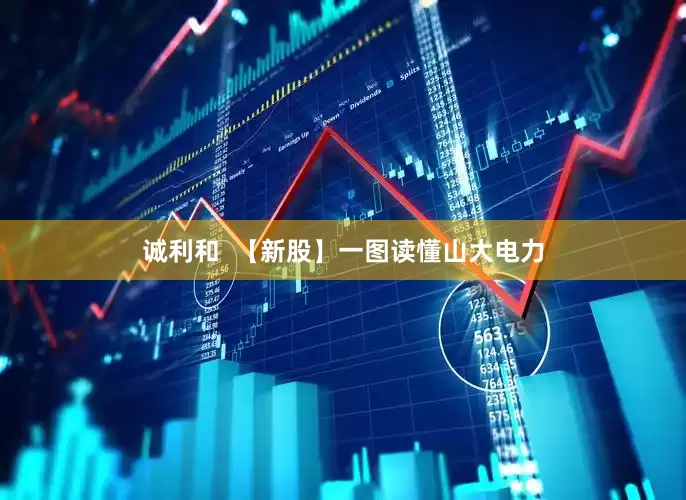 诚利和  【新股】一图读懂山大电力