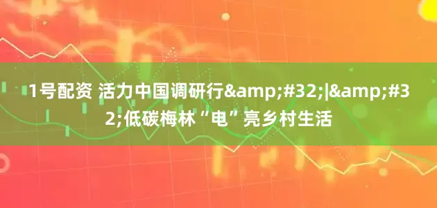 1号配资 活力中国调研行&#32;|&#32;低碳梅林“电”亮乡村生活