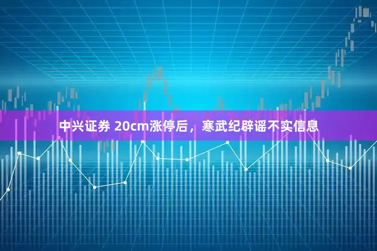 中兴证券 20cm涨停后，寒武纪辟谣不实信息